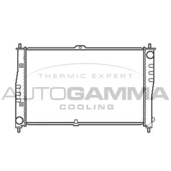 Radiateur, refroidissement du moteur AUTOGAMMA 103607