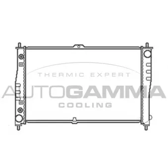Radiateur, refroidissement du moteur AUTOGAMMA 103608