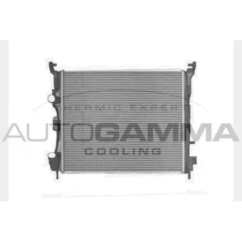 Radiateur, refroidissement du moteur AUTOGAMMA 103617