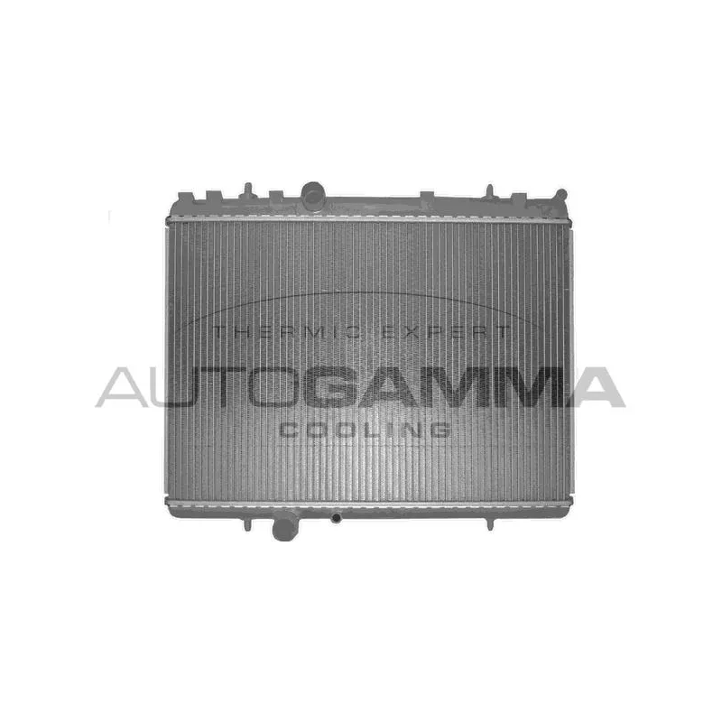 Radiateur, refroidissement du moteur AUTOGAMMA 103641