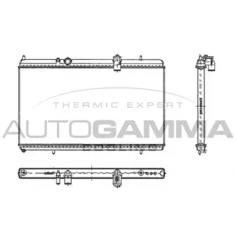 Radiateur, refroidissement du moteur AUTOGAMMA 103642