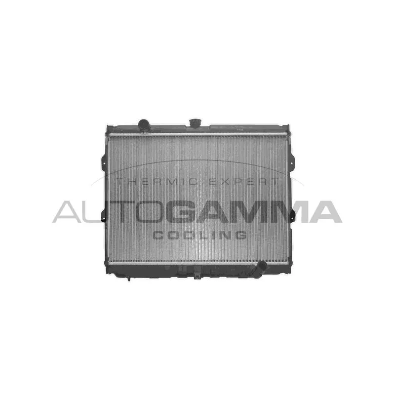 Radiateur, refroidissement du moteur AUTOGAMMA 103691