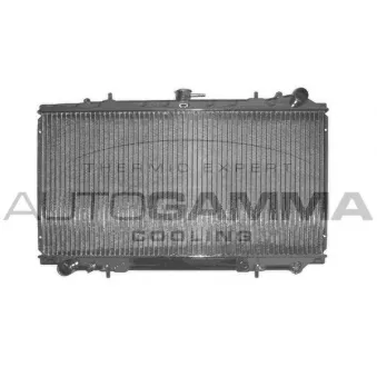 Radiateur, refroidissement du moteur AUTOGAMMA 103696