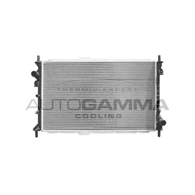 Radiateur, refroidissement du moteur AUTOGAMMA 103699