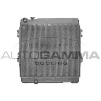 Radiateur, refroidissement du moteur AUTOGAMMA 103740