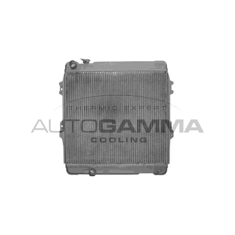 Radiateur, refroidissement du moteur AUTOGAMMA 103740