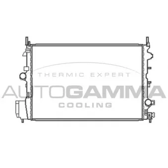 Radiateur, refroidissement du moteur AUTOGAMMA 103754