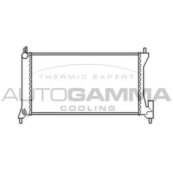 Radiateur, refroidissement du moteur AUTOGAMMA 103760