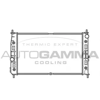 Radiateur, refroidissement du moteur AUTOGAMMA 103762
