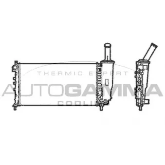 Radiateur, refroidissement du moteur AUTOGAMMA 103766
