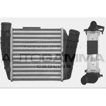 Intercooler, échangeur AUTOGAMMA 103771