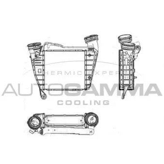 Intercooler, échangeur AUTOGAMMA 103795