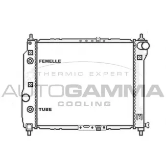 Radiateur, refroidissement du moteur AUTOGAMMA 103839