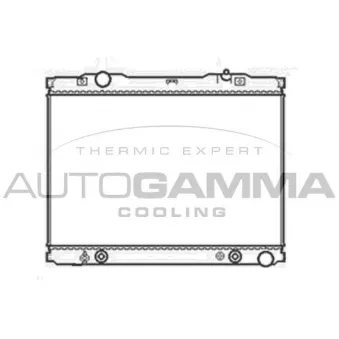 Radiateur, refroidissement du moteur AUTOGAMMA 103849