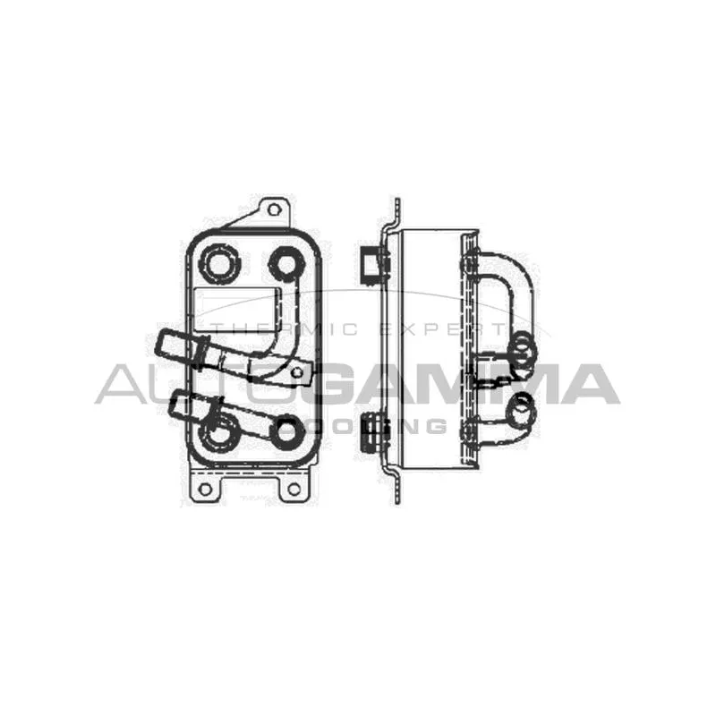 Radiateur d'huile AUTOGAMMA 103861