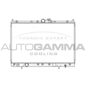 Radiateur, refroidissement du moteur AUTOGAMMA 103865
