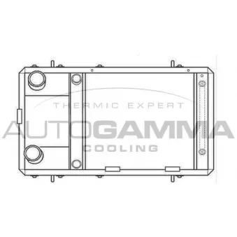 Radiateur, refroidissement du moteur AUTOGAMMA 103873
