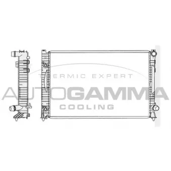 Radiateur, refroidissement du moteur AUTOGAMMA 103880