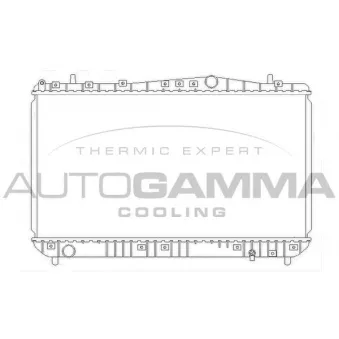 Radiateur, refroidissement du moteur AUTOGAMMA 103905