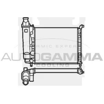 Radiateur, refroidissement du moteur AUTOGAMMA 103916
