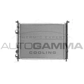 Radiateur, refroidissement du moteur AUTOGAMMA 103917