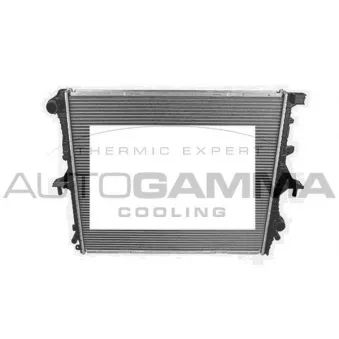 Radiateur, refroidissement du moteur AUTOGAMMA 103943