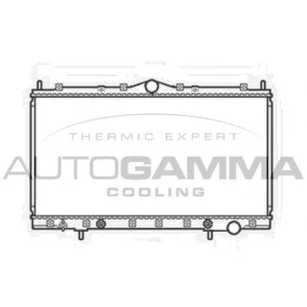 Radiateur, refroidissement du moteur AUTOGAMMA