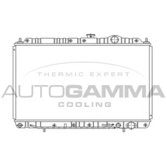 Radiateur, refroidissement du moteur AUTOGAMMA 103957