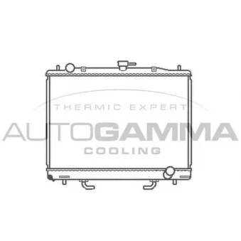 Radiateur, refroidissement du moteur AUTOGAMMA 103963