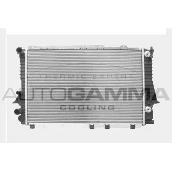 Radiateur, refroidissement du moteur AUTOGAMMA 103976