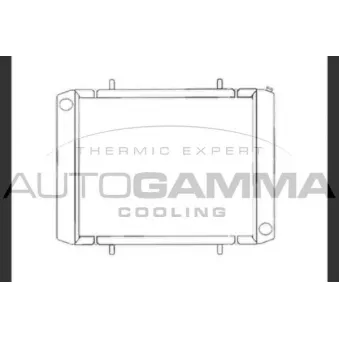 Radiateur, refroidissement du moteur AUTOGAMMA 104049