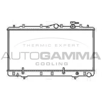 Radiateur, refroidissement du moteur AUTOGAMMA