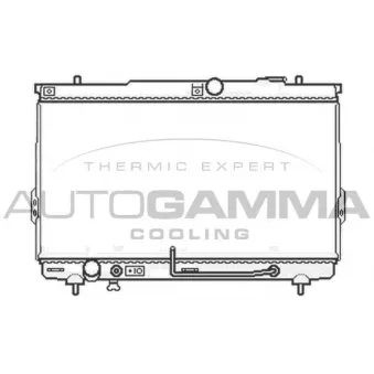 Radiateur, refroidissement du moteur AUTOGAMMA 104065