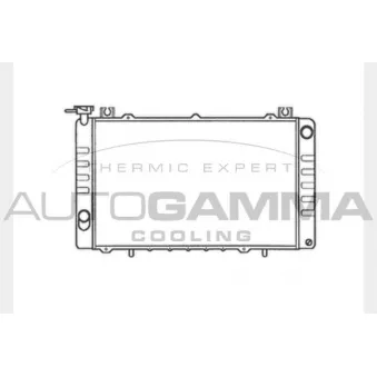 Radiateur, refroidissement du moteur AUTOGAMMA 104101
