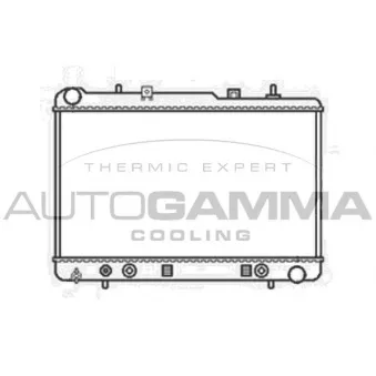 Radiateur, refroidissement du moteur AUTOGAMMA 104131
