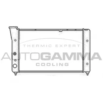 Radiateur, refroidissement du moteur AUTOGAMMA 104135