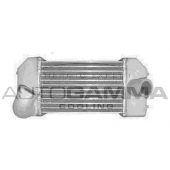 Intercooler, échangeur AUTOGAMMA 104136