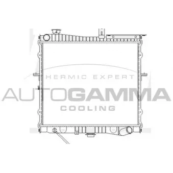 Radiateur, refroidissement du moteur AUTOGAMMA