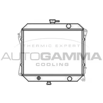 Radiateur, refroidissement du moteur AUTOGAMMA 104142