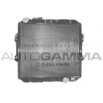 Radiateur, refroidissement du moteur AUTOGAMMA