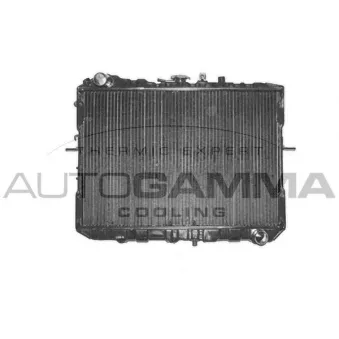 Radiateur, refroidissement du moteur AUTOGAMMA 104151