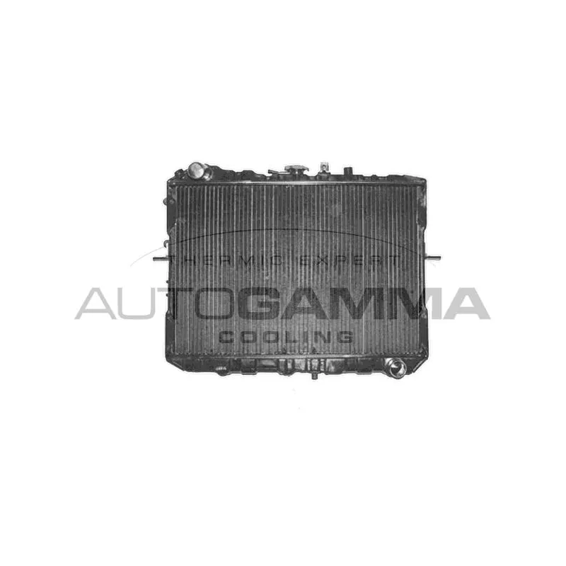Radiateur, refroidissement du moteur AUTOGAMMA 104151