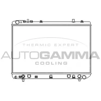 Radiateur, refroidissement du moteur AUTOGAMMA 104159
