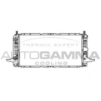 Radiateur, refroidissement du moteur AUTOGAMMA 104169