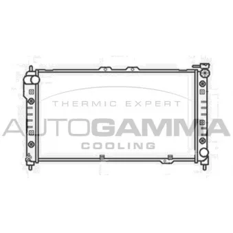 Radiateur, refroidissement du moteur AUTOGAMMA 104176