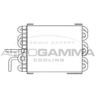 Radiateur, refroidissement du moteur AUTOGAMMA 104177