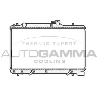Radiateur, refroidissement du moteur AUTOGAMMA 104189