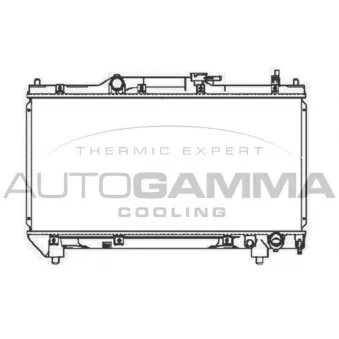 Radiateur, refroidissement du moteur AUTOGAMMA 104194