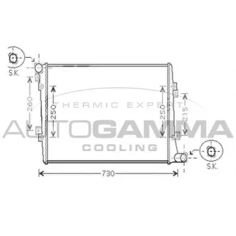 Radiateur, refroidissement du moteur AUTOGAMMA 104245