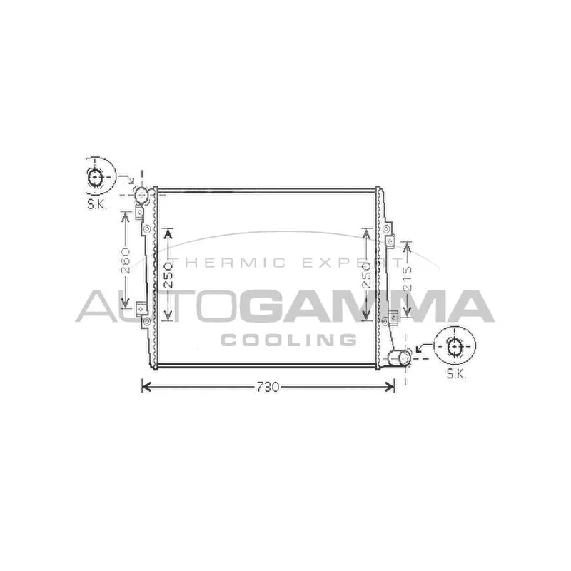 Radiateur, refroidissement du moteur AUTOGAMMA 104245